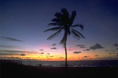 Tropical Sunrise And Sunset Wallpapers