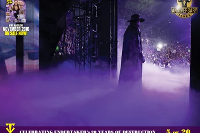 Undertaker   WWE Wallpapers (16296607)   Fanpop