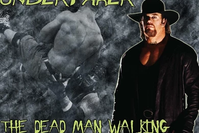 Undertaker Wallpapers 2015 HD   Wallpapers Cave