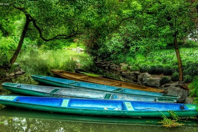 Wallpapers Download3