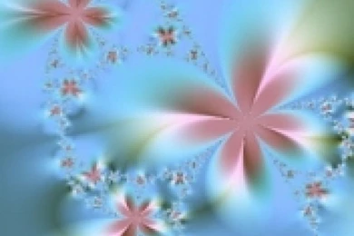 Flowers Wallpapers For Mobile   Desktop Backgrounds