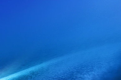 100 HD Phone Wallpapers For All Screen Sizes