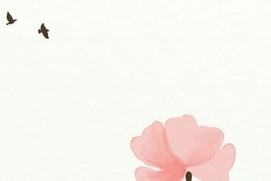 Crazy Cute Wallpapers