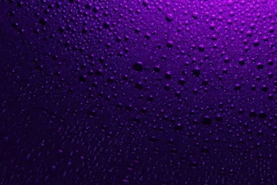 Nice Water Drop On Purple Backgrounds