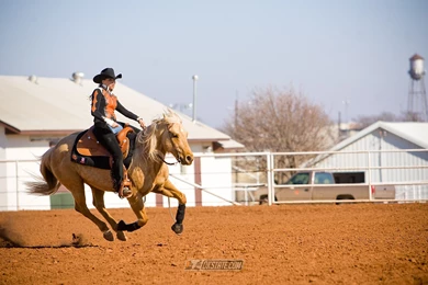 3 Cowgirl HD Wallpapers