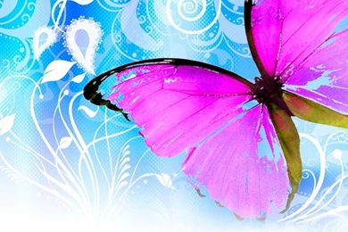 Butterflies Backgrounds   All Wallpapers New