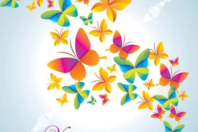 Colorful Butterfly Backgrounds   IMGson
