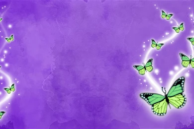 Animated Butterfly Wallpapers   Desktop Backgrounds