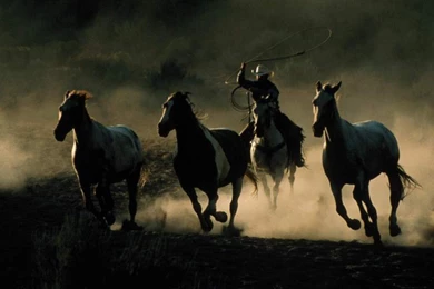 Wallpapers Golf Nature Gti Cowboy Cowgirl Fond D Cran Fonds Ecrans ...