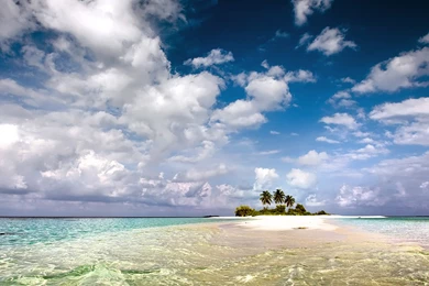 PZ C: Beach Backgrounds