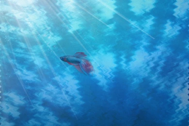 Tie Dye : Desktop And Mobile Wallpapers : Wallippo