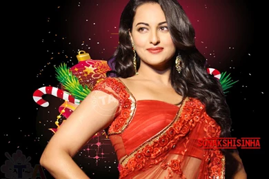 Sonakshi Sinha Wallpapers Download   Wallpapers HD Cool