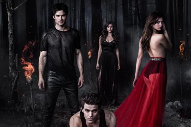 The Vampire Diaries Season 5 2013 Wallpapers