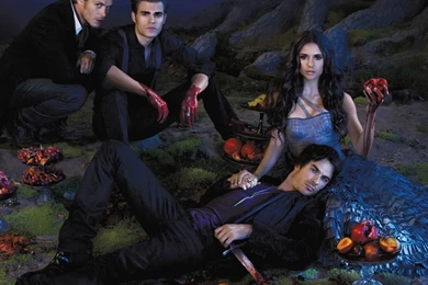 The Vampire Diaries Wallpapers   TV Show Wallpapers