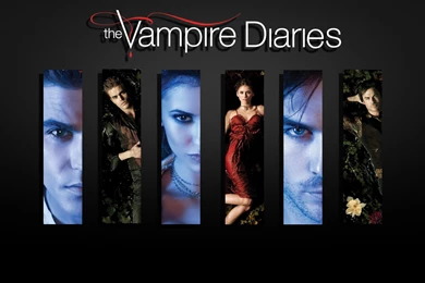 HD Vampire Diaries Wallpapers   Vampire brothers Salvatore