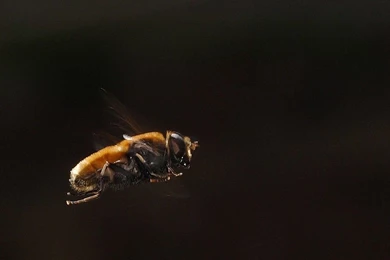 Slow Motion Wallpapers   Wallpapers Cave