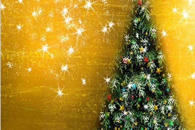 5*7ft Photography Backgrounds Christmas Backdrops Photography For ...