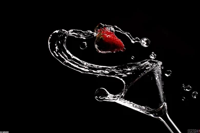 Slow Motion Wallpapers   Bing Images