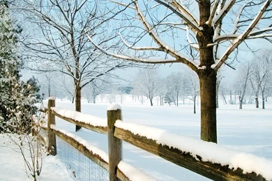 Winter Scene 1600x1200 Wallpapers, 1600x1200 Wallpapers & Pictures ...