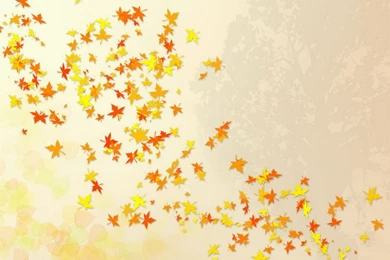 Cute Wallpapers Free   Wallpapers HD Fine