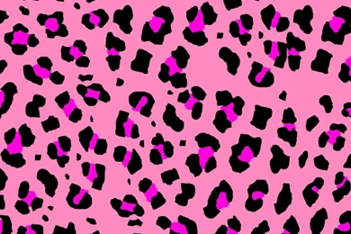 Girly Pink Wallpapers   Android Apps And Tests   AndroidPIT