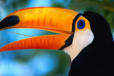 HD Wallpapers 1080P, HD Wallpapers 1080P, Laptops, Notebooks ...