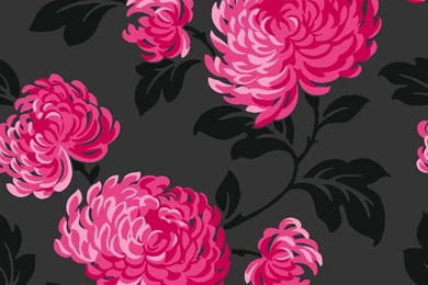 Black White Pink Wallpapers 2015   Grasscloth Wallpapers