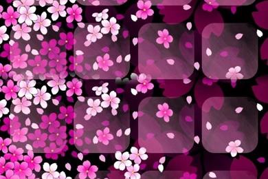 Shelf Wallpapers For iPhone 5   640x1136   App Store Revenue ...