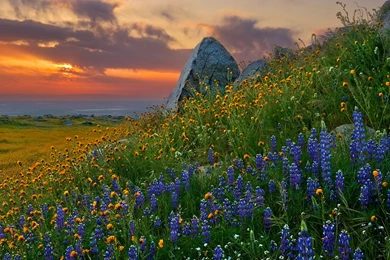 40 Amazing Landscape Wallpapers Full HD 1920 X 1080 Px