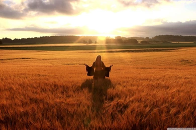 Happy Woman In Golden Wheat Field HD Desktop Wallpapers : High ...