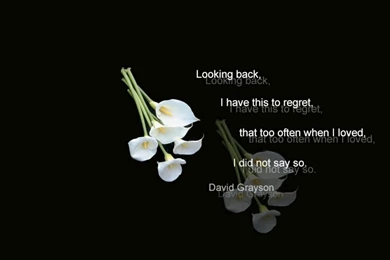 QUOTES WALLPAPERS FREE DOWNLOAD FOR DESKTOP Image Quotes At ...