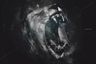 1920x1080 Lion Grayscale Art Wallpapers