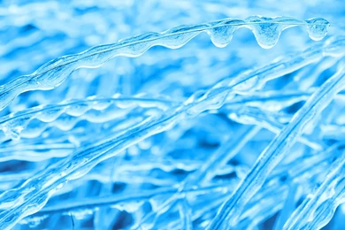 1920x1080 Frozen Rain Wallpapers