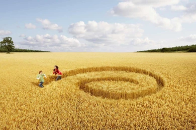 Girl Boy Running Wheat Field Wallpapers