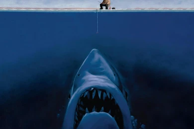 FREE DIGITAL ART BIG SHARK WALLPAPER   (