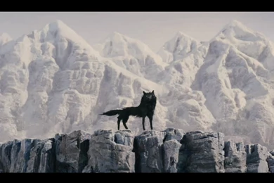 Desktop Fantastic Mr Fox Wallpapers