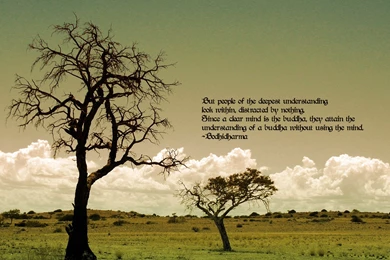 Spiritual   Creativity Wallpapers (3254176)   Fanpop