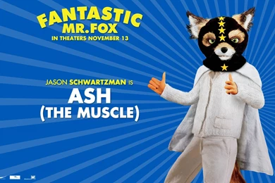 Fantastic Mr Fox Ash, Paradox, Visual, Animal, 1920x1200 HD ...