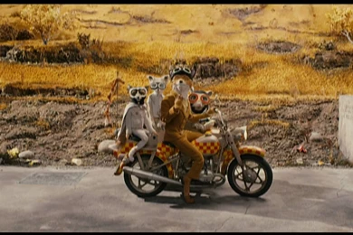 Fantastic Mr. Fox   In Theaters Everywhere Wednesday!   YouTube