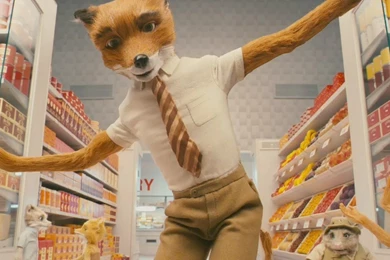 HD Picture  Fantastic Mr. Fox (