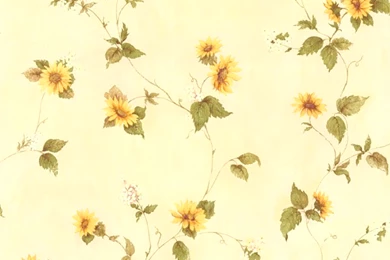 414 45177 Yellow Floral Trail   August   Brewster Wallpapers