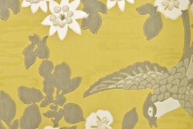 Yellow And White Print Wallpapers   Bing Images