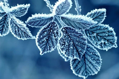 Blue Ice Wallpapers   Wallpaper.