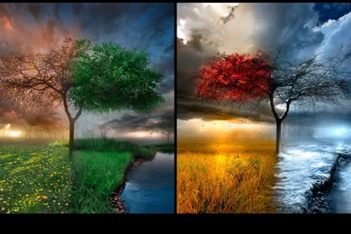 Hd Wallpapers Free   Wallpapers High Definition