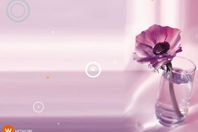 Reanazriema: Purple Desktop Wallpapers