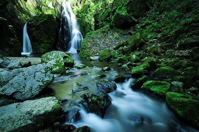 Download Wallpapers 1920x1080 Waterfall, Stones, Moss, Water Full ...