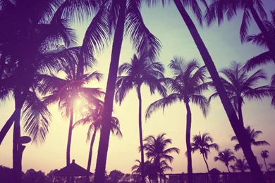 Retro Summer Desktop Wallpapers Nature