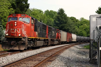 Train Through The Forest Wallpapers   Photography Wallpapers