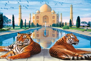 TAJ MAHAL TIGERS WALLPAPER   (