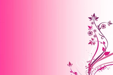 Pink Color Wallpapers Hd J9O   Pretty Wallpapers HD